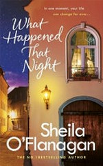 What happened that night / by Sheila O'Flanagan.