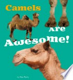 Camels are awesome! / by Allan Morey.