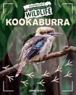 Kookaburra / by John Lesley.