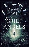 Grief angels / by David Owen