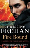 Fire bound / by Christine Feehan.