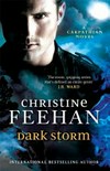 Dark storm : a Carpathian novel / by Christine Feehan.