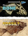 How does a bone become a fossil? / by Melissa Stewart.
