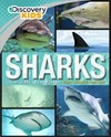 Sharks : get up close to the oceans' most feared hunters /