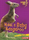 Meet a baby kangaroo / by Anna Leigh.