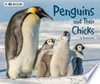 Penguins and their chicks / by Margaret Hall.