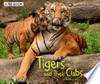 Tigers and their cubs / by Margaret Hall.