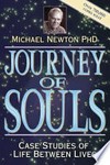 Journey of souls : case studies of life between lives / Michael Newton.