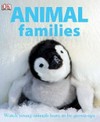 Animal families / [written by Lorrie Mack.