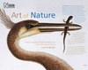 Art of nature : three centuries of natural history art from around the world / Judith Magee.