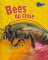 Bees up close