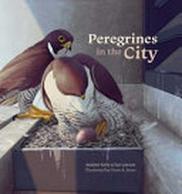 Peregrines in the city / by Andrew Kelly.