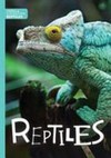 Reptiles /