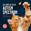 All cats are on the autism spectrum / by Kathy Hoopmann.