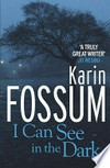 I can see in the dark / by Karin Fossum ; translated from the Norwegian by James Anderson.
