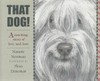 That dog! / by Nanette Newman ; illustrated by Flora Daneman.