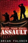 Assault / by Brian Falkner.