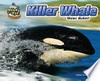 Killer whale : water bullet! / by Dawn Bluemel Oldfield.