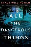 All the dangerous things / by Stacy Willingham